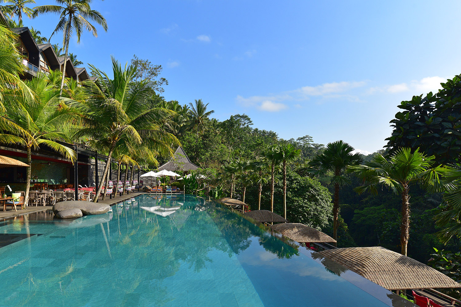 2-Chapung-Sebali-and-Jungle-Fish