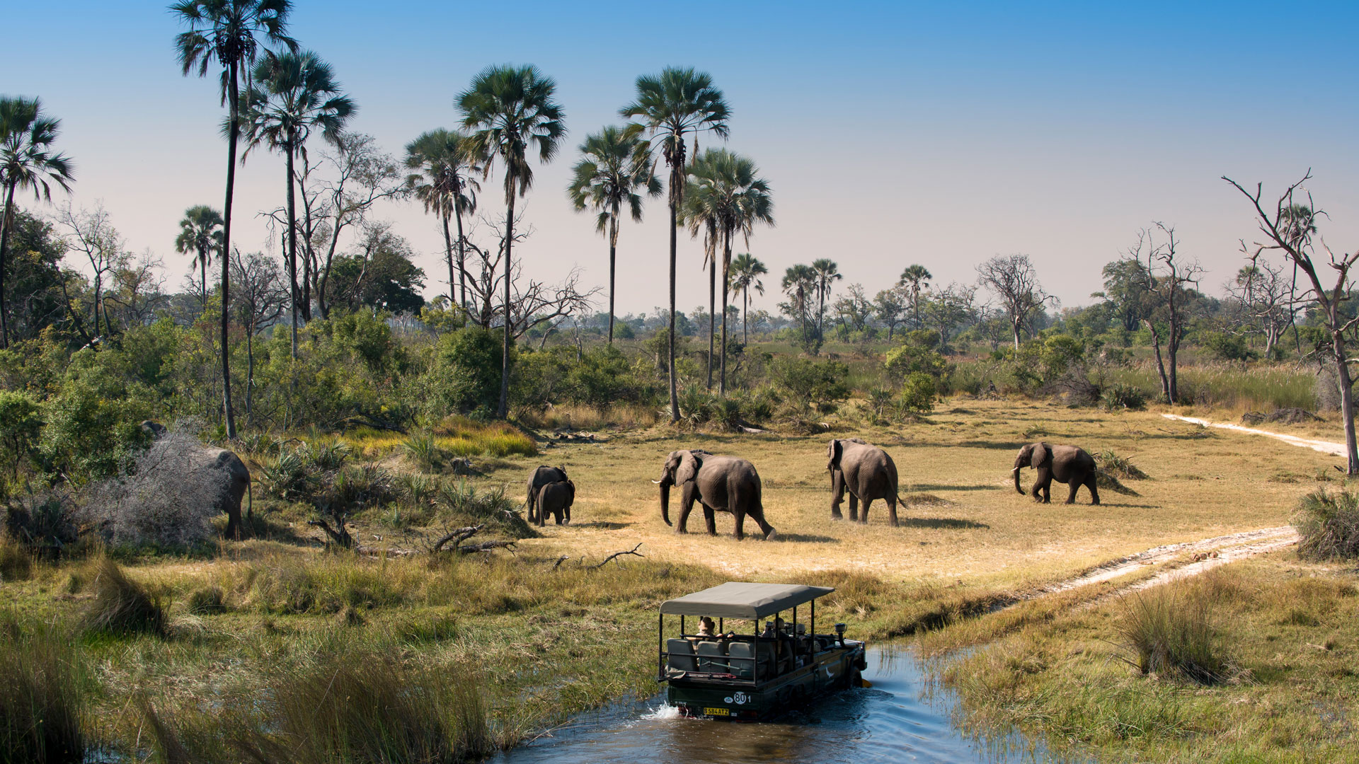 safaribotswana