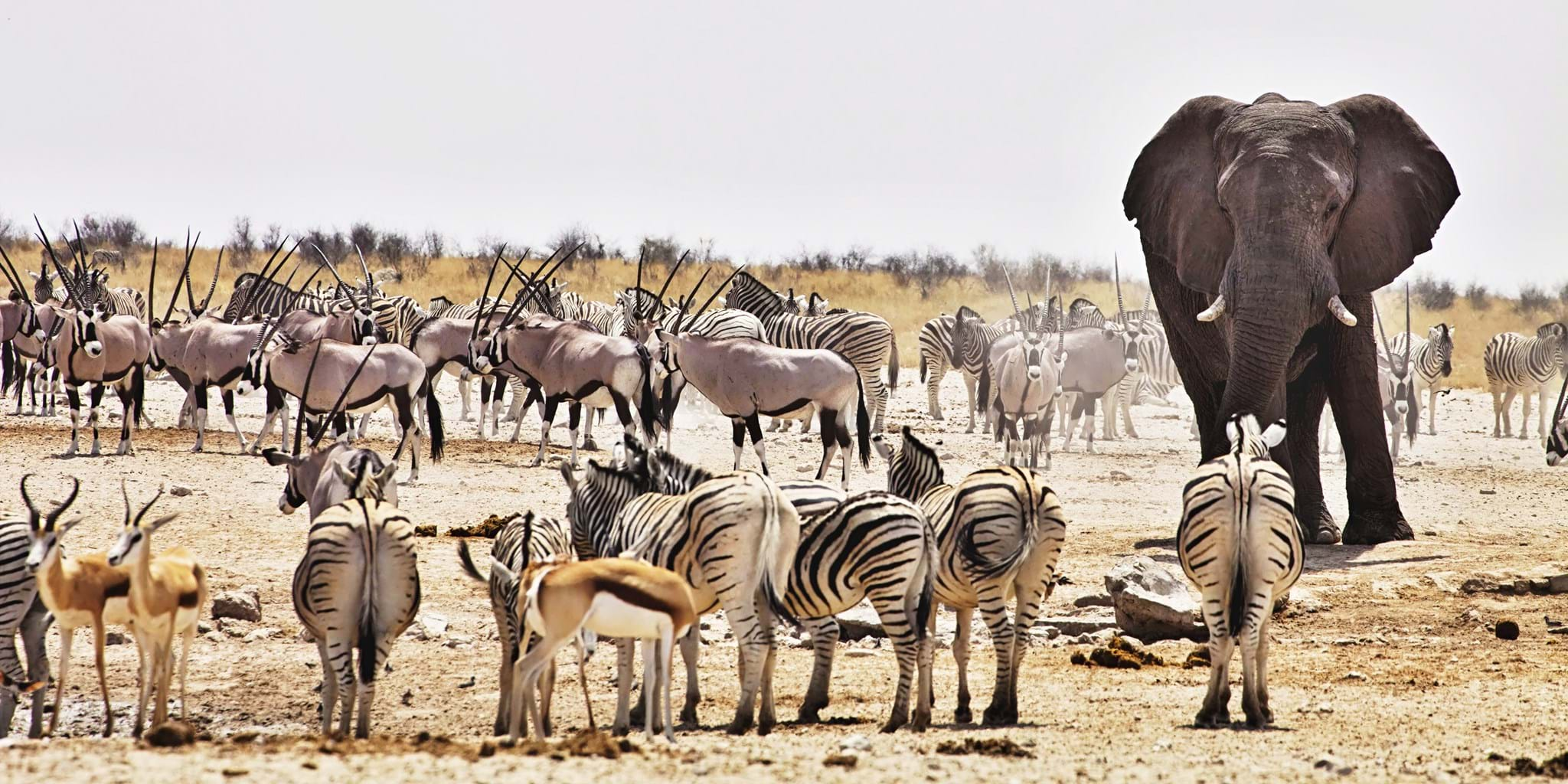 safarinamibia